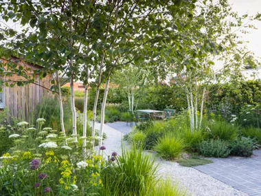 Colm Joseph Gardens resuscitates historic walled garden and wins People’s Choice Award at the 2025 SGD Awards.