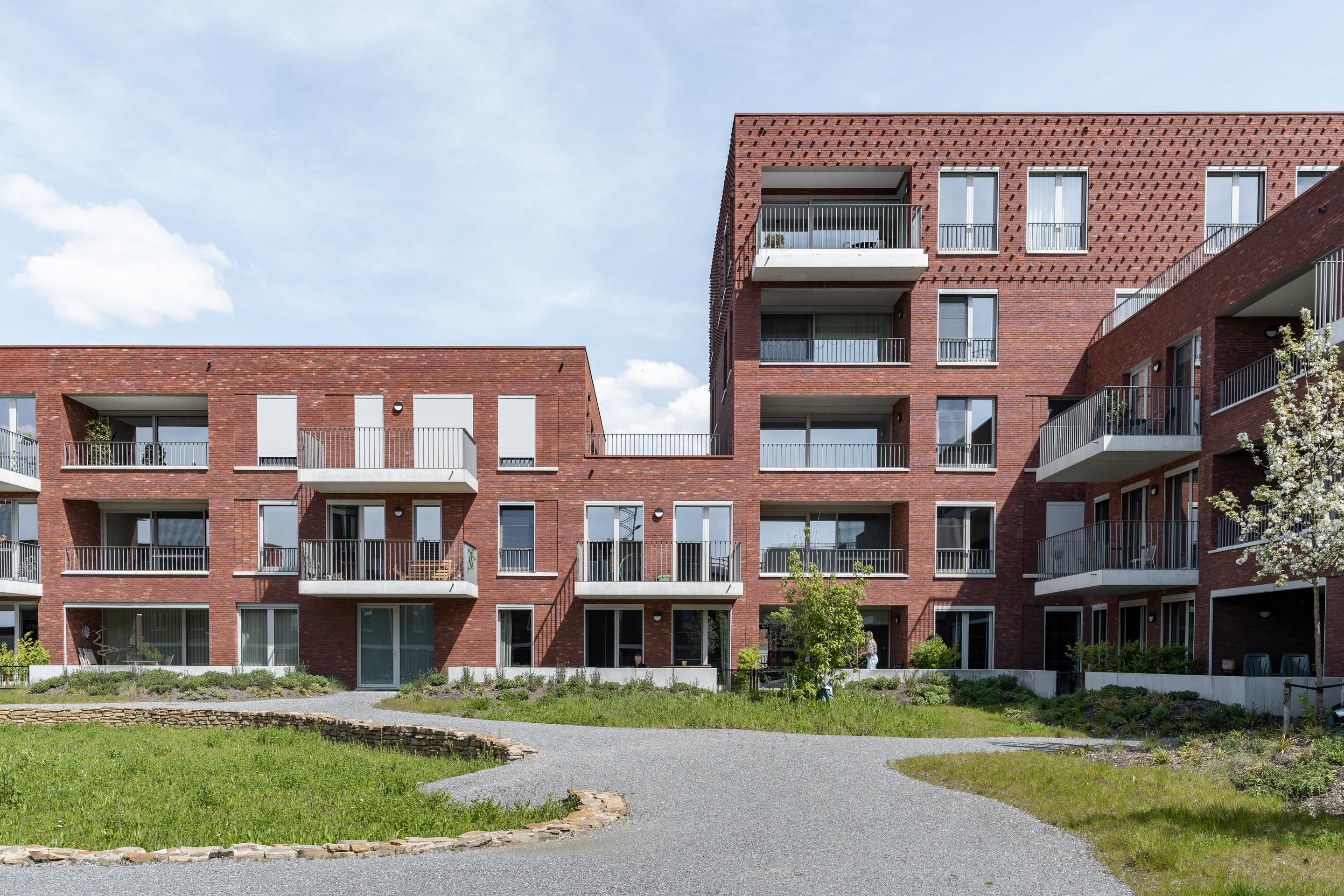Un ensemble de maisons contemporaines mêlant densité, verdure et identité collective