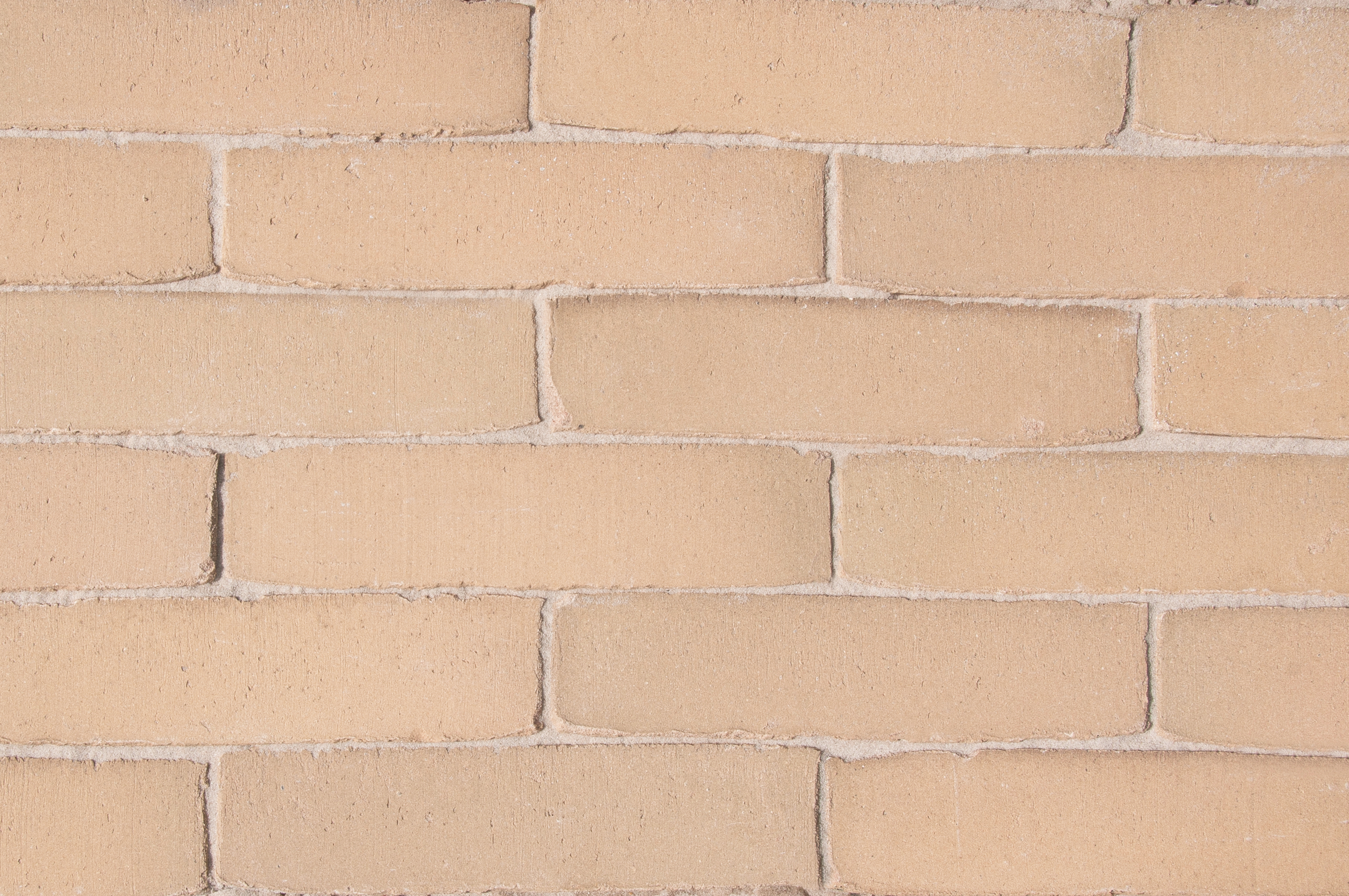 SeptimA SeptimA Vanilla