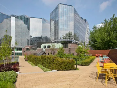A green masterpiece in the urban heart of Utrecht: the rooftop garden of Rabobank