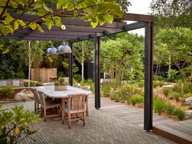 Transforming an outdoor space into a multipurpose green garden